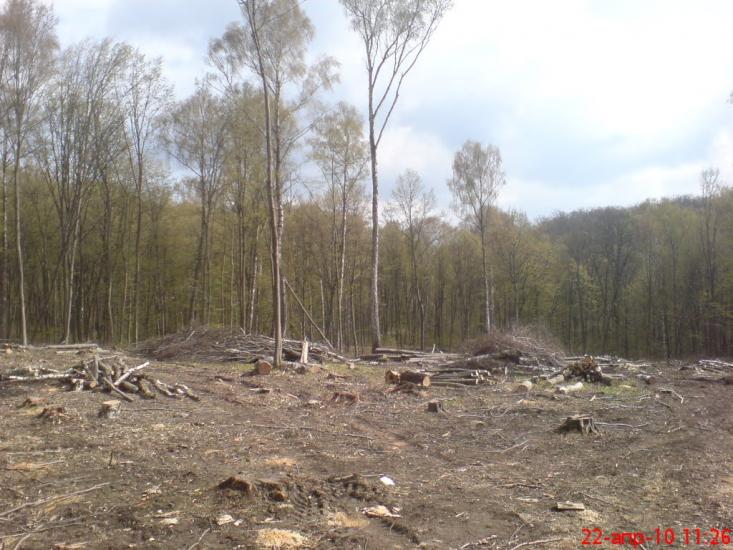 Чудинівці з panoramio.com - Чудиновцы