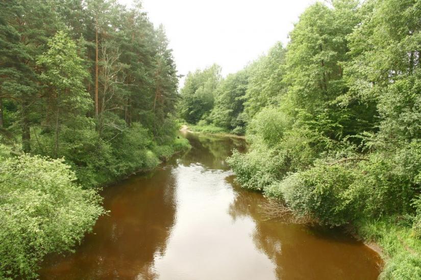Лопатичі з panoramio.com - Лопатичи