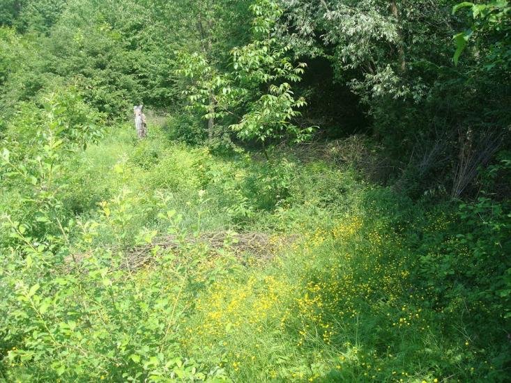 Давидківці з panoramio.com - Давидківці