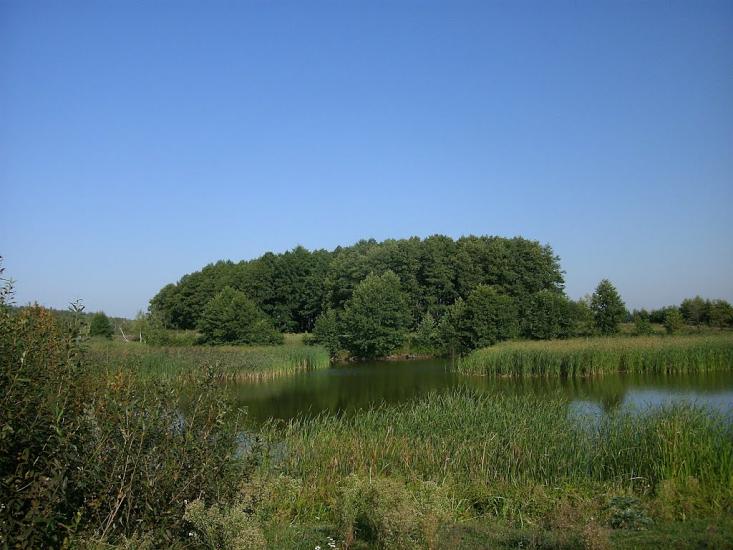 Марочкине з panoramio.com - Марочкино