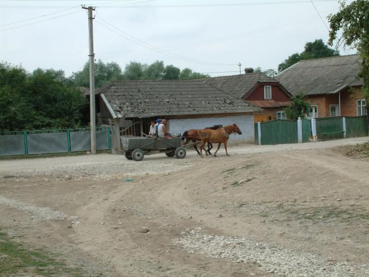 Задарів з panoramio.com - Задарів
