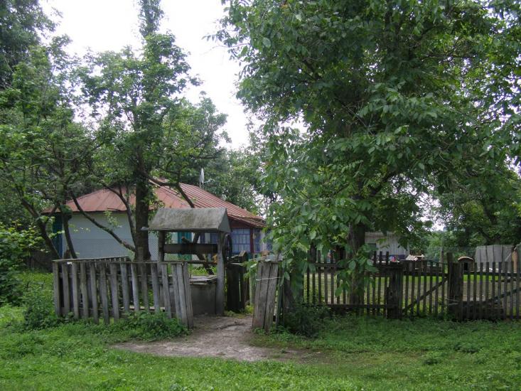 Петро-Марківка з panoramio.com - Петро-Марковка