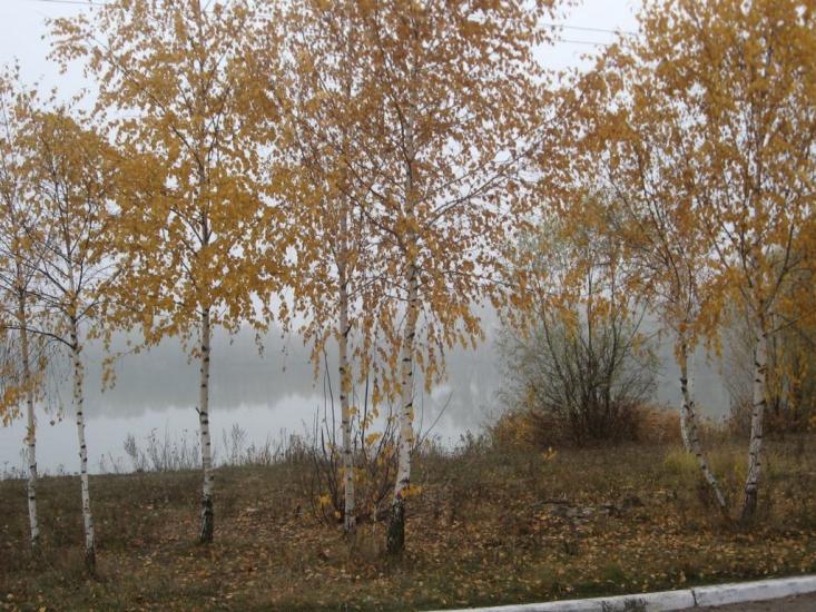 Борзна з panoramio.com - Борзна