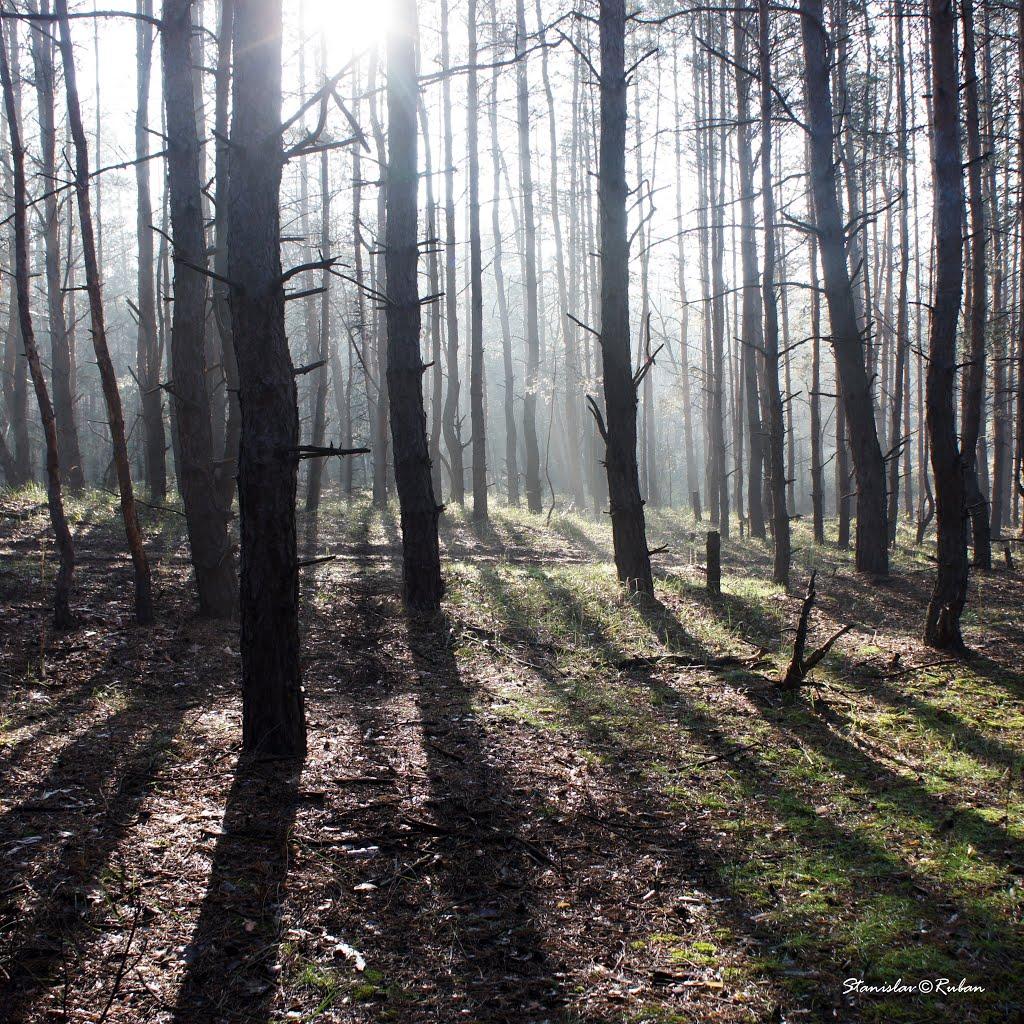 Шульгівка з panoramio.com - Шульговка