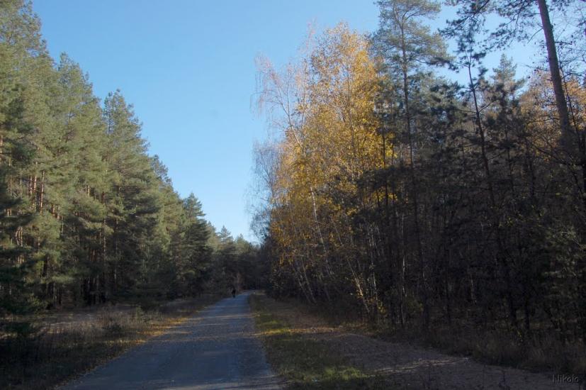 Осколонівка з panoramio.com - Осколонівка