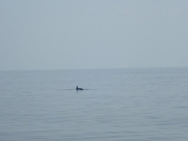 Морське з panoramio.com - Морское