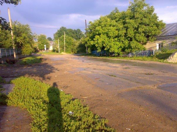 Козівка з panoramio.com - Kozivka