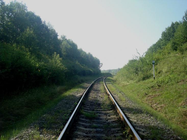 Панівці з panoramio.com - Panivtsi