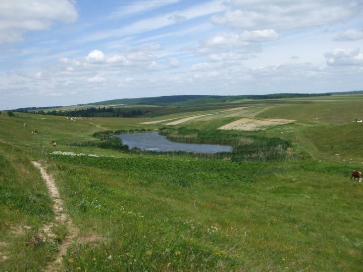 Могилівка з panoramio.com - Могилевка