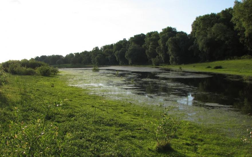 Брусилів з panoramio.com - Брусилів