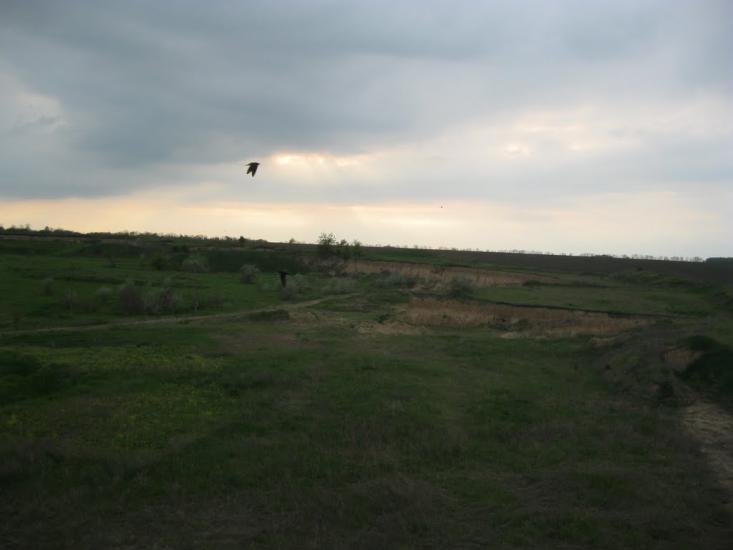 Дмитрівка з panoramio.com - Дмитровка