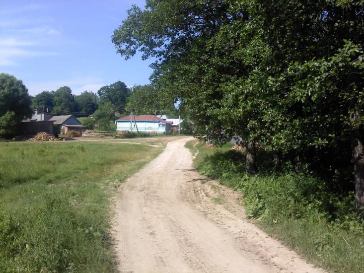 Верба з panoramio.com - Верба