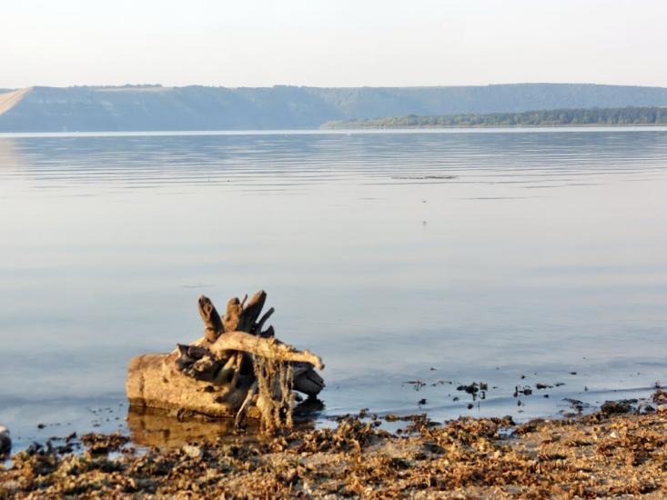 Каштанівка з panoramio.com - Каштановка