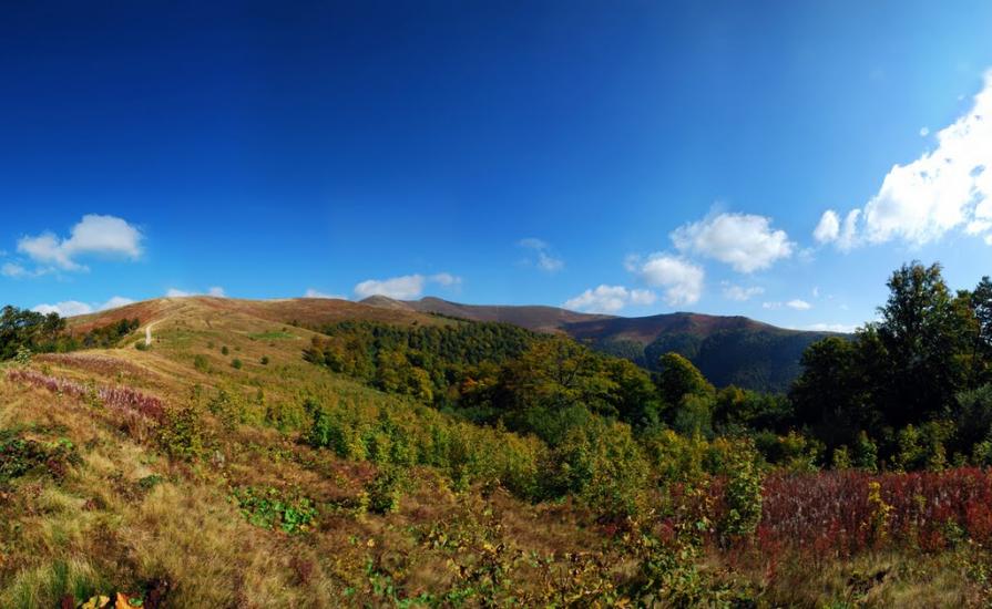Вовчий з panoramio.com - Волчий