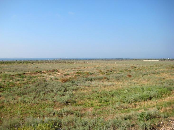 Медведеве з panoramio.com - Медведево