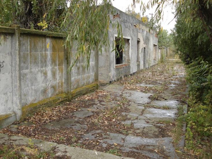 Раухівка з panoramio.com - Raukhivka