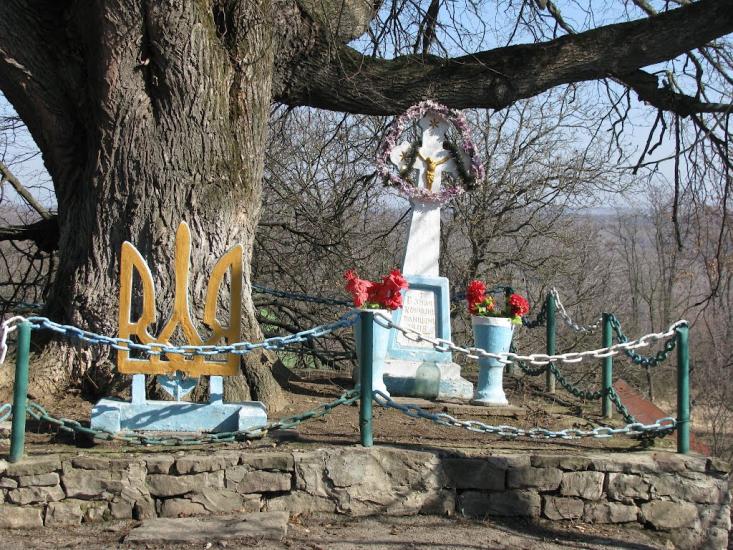 Петрів з panoramio.com - Петрів