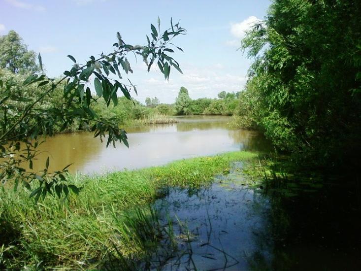 Іванків з panoramio.com - Иванков