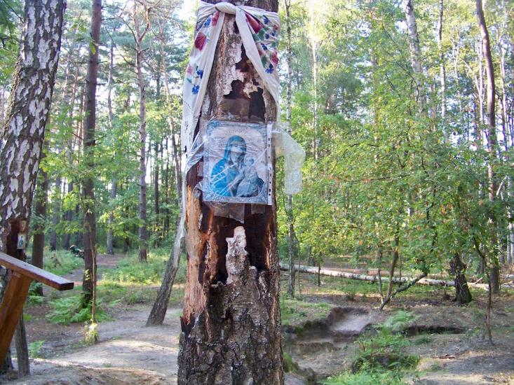 Кролевець з panoramio.com - Кролевець