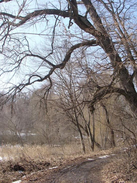 Сезенків з panoramio.com - Сезенків