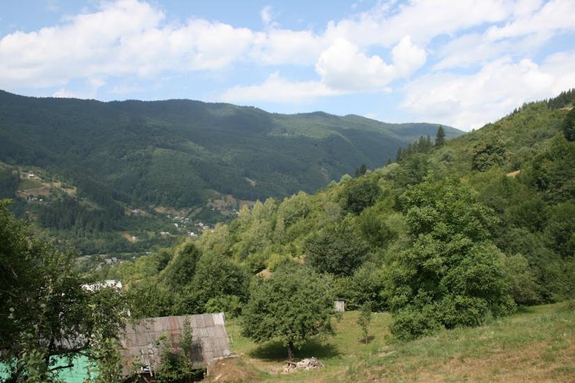 Вільховатий з panoramio.com - Вільховатий