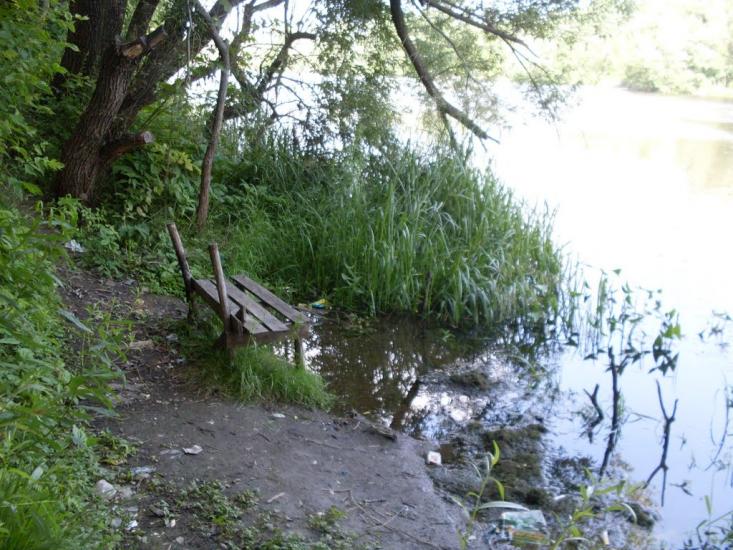 Четвертинівка з panoramio.com - Четвертиновка