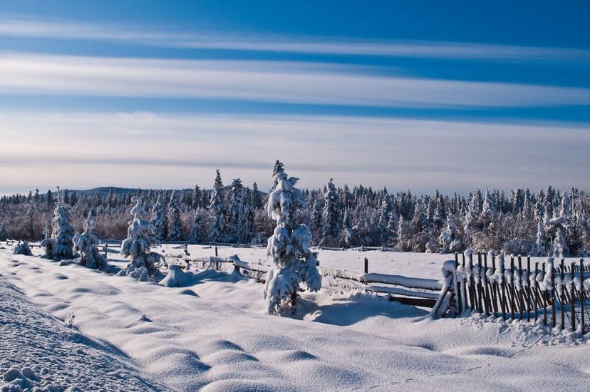 Міжгір'я з panoramio.com - Міжгір'я