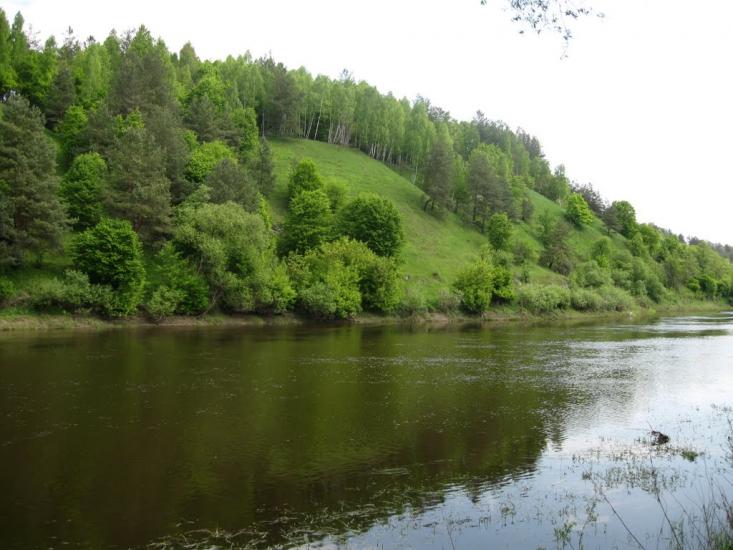 Губків з panoramio.com - Губків