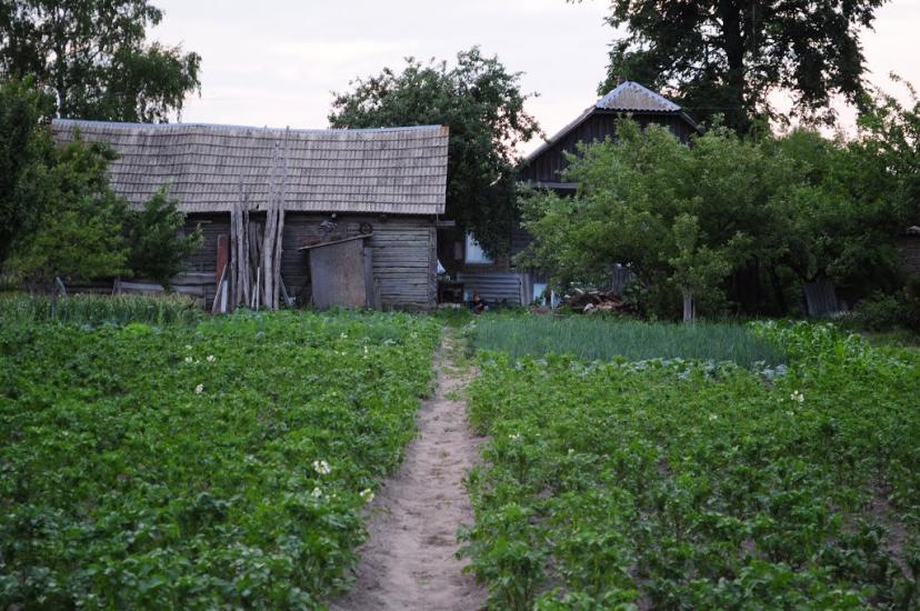 Корюківка з panoramio.com - Корюковка