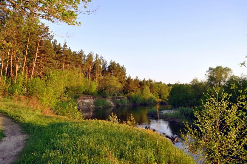 Хомине з panoramio.com - Хомине