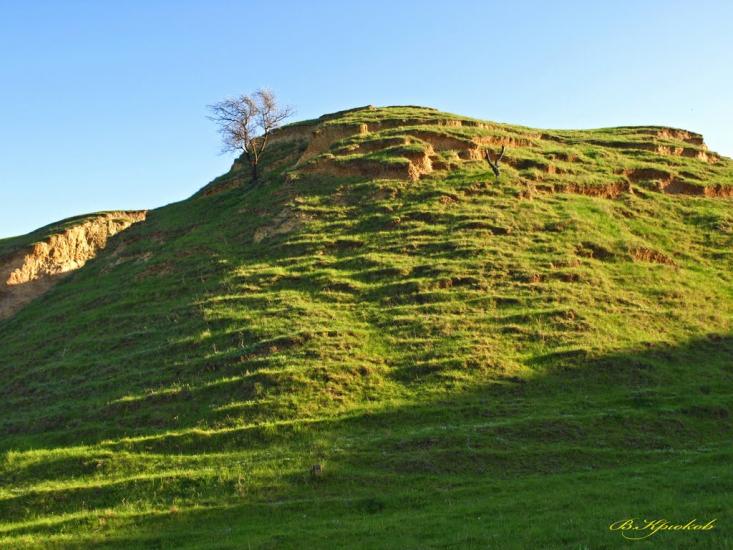 Садове з panoramio.com - Садове