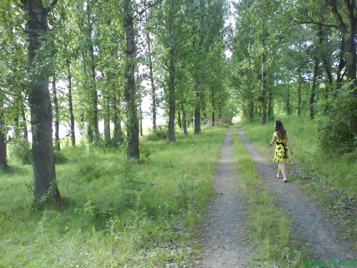 Нижча Кропивна з panoramio.com - Нижча Кропивна