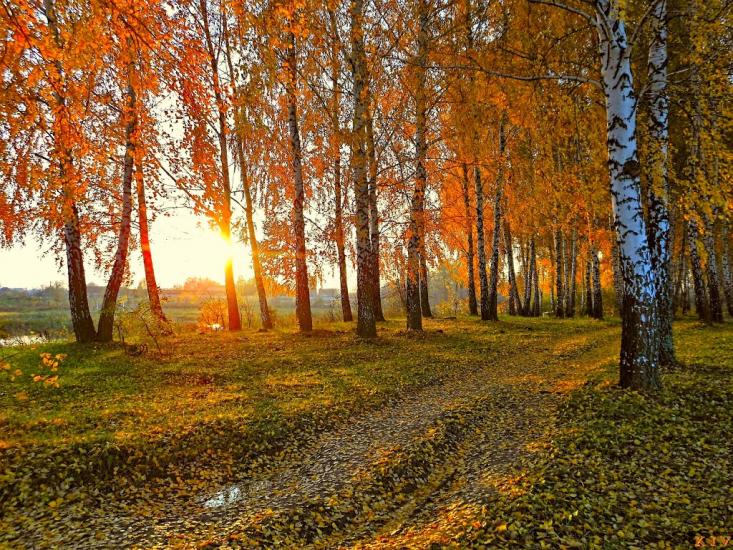 Борзна з panoramio.com - Борзна