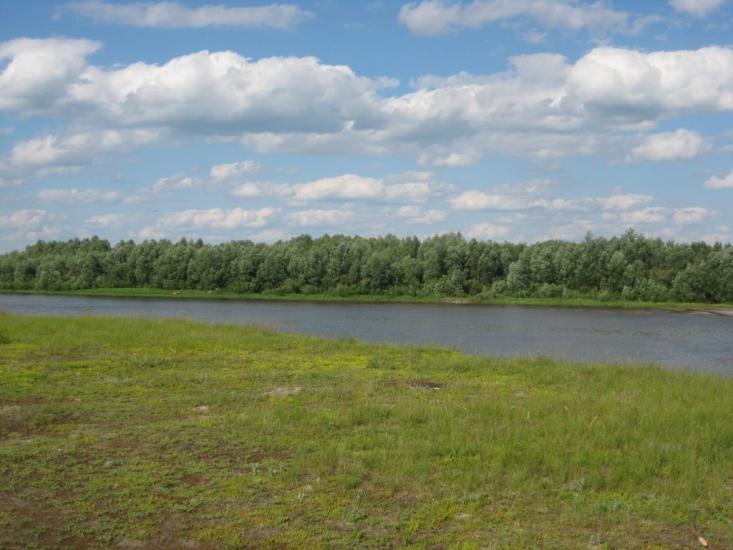 Жукин з panoramio.com - Zhukyn