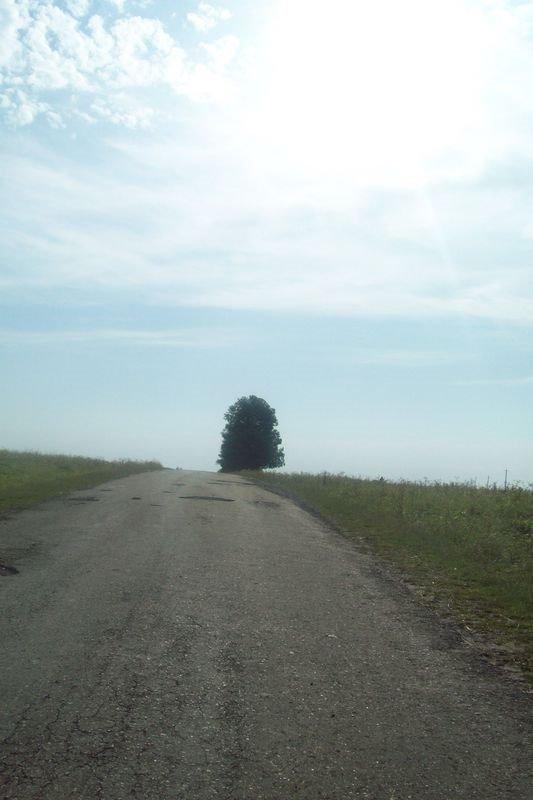 Погірці з panoramio.com - Pogirtsi