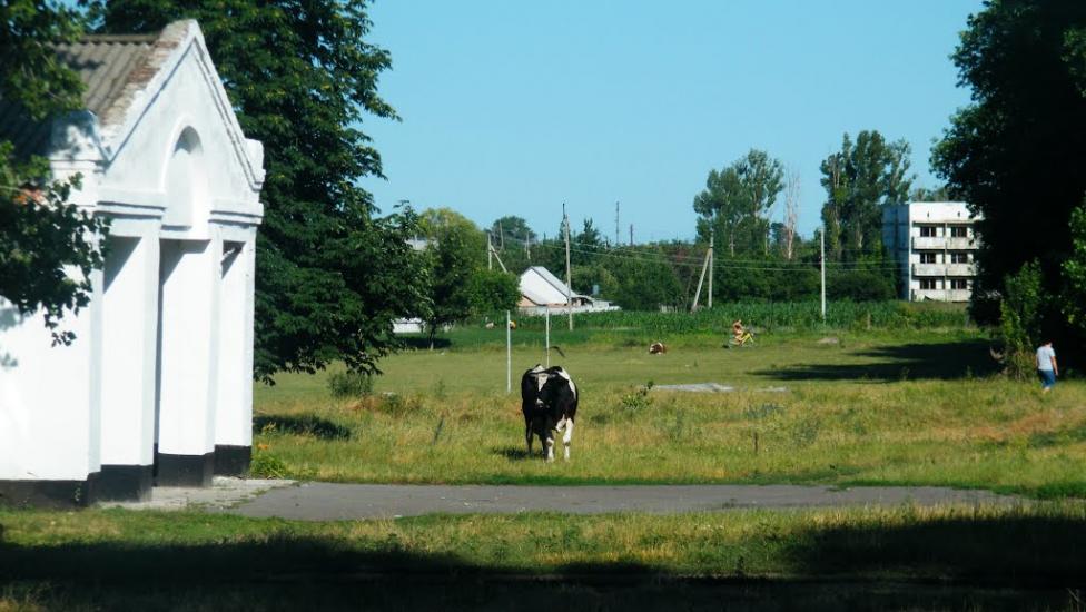 Майбородівка з panoramio.com - Майбородівка