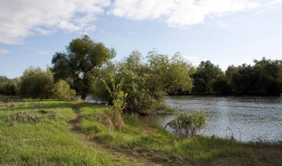 Яськи з panoramio.com - Jasky
