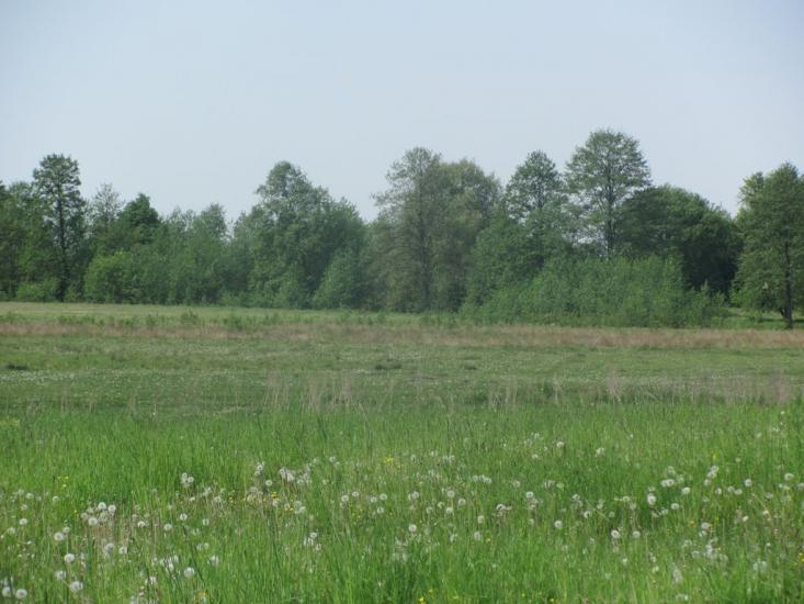 Островки з panoramio.com - Островки