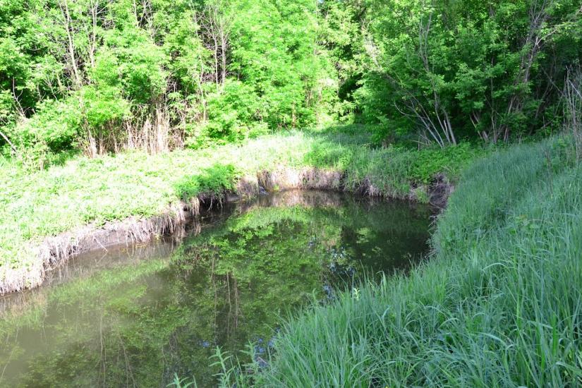 Шабельківка з panoramio.com - Шабельківка