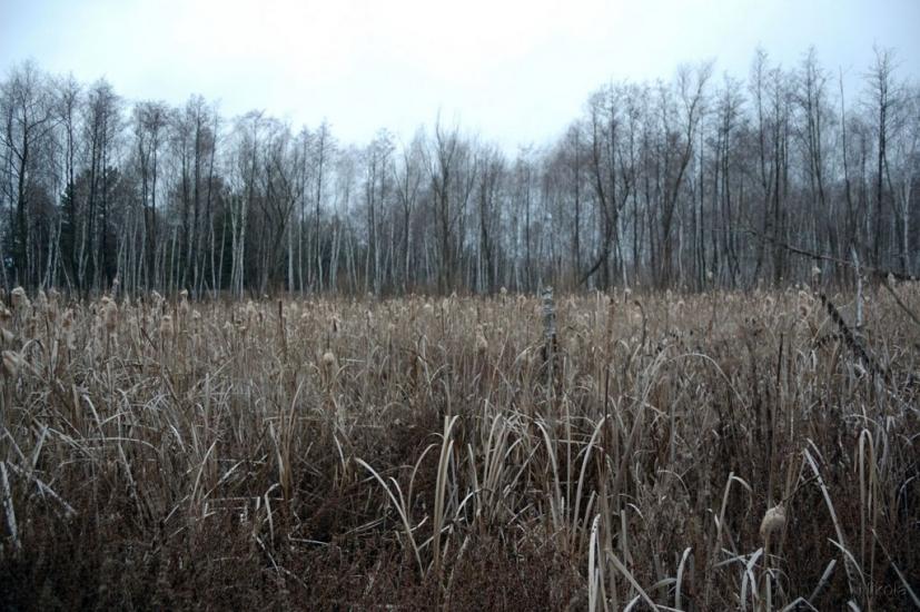 Воронове з panoramio.com - Воронове