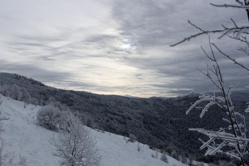 Кваси з panoramio.com - Квасы