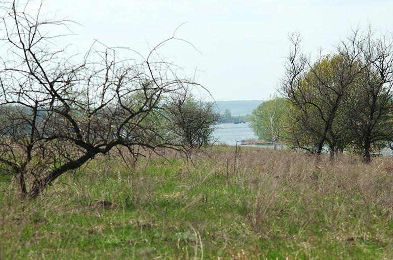 Черняки з panoramio.com - Черняки