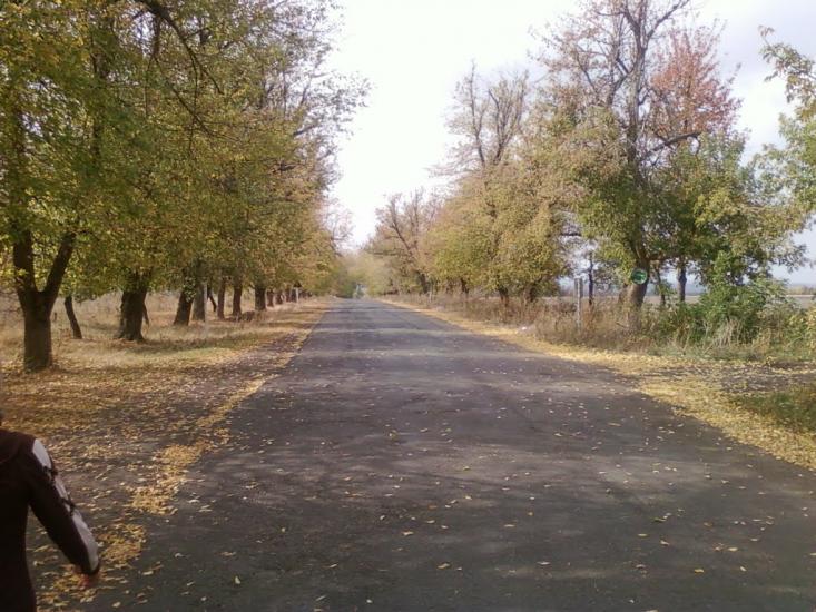 Кодима з panoramio.com - Кодима