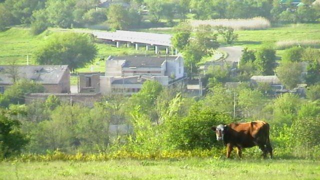 Катеринка з panoramio.com - Катеринка
