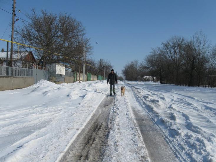 Веселинове з panoramio.com - Веселинове
