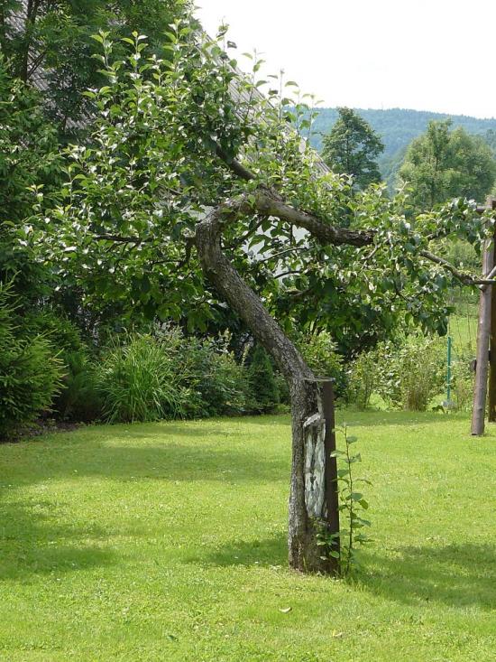 Катина з panoramio.com - Катыно
