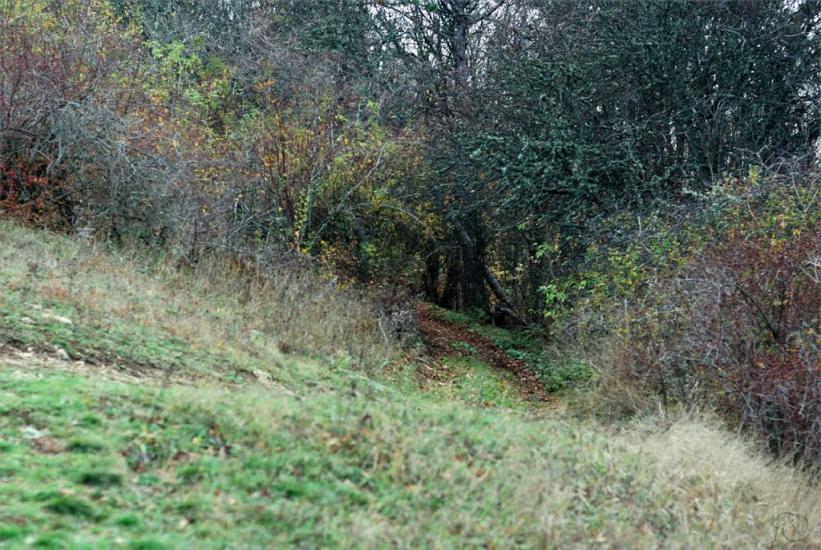 Громівка з panoramio.com - Громівка