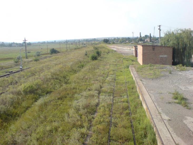 Червонознам'янка з panoramio.com - Червонознаменка