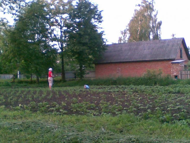 Баламутівка з panoramio.com - Баламутівка