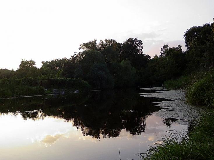 Созонівка з panoramio.com - Созоновка